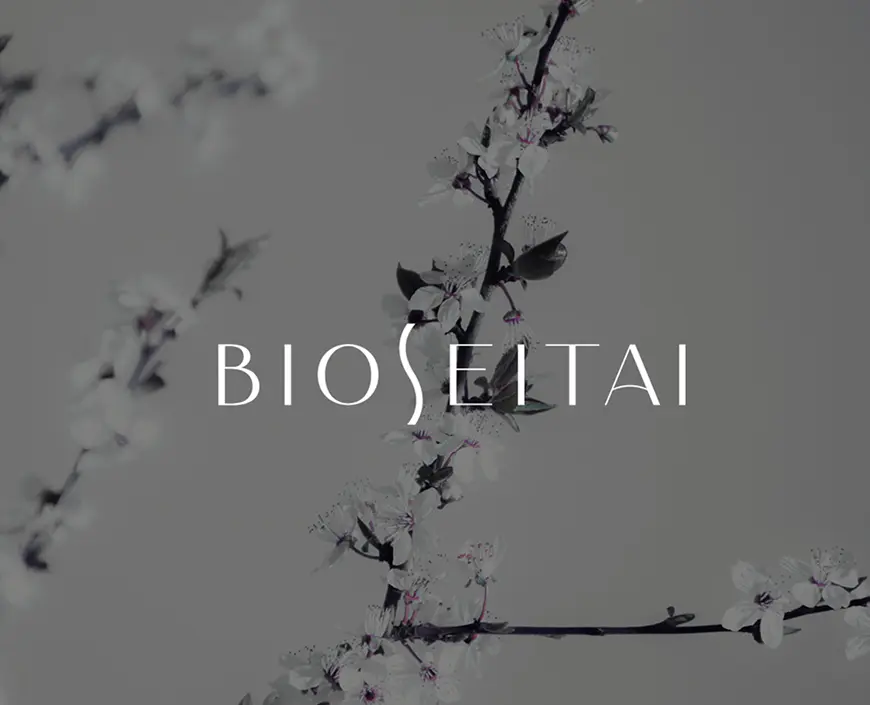 lovevisualmarketing - Branding y diseno web BioSeitai