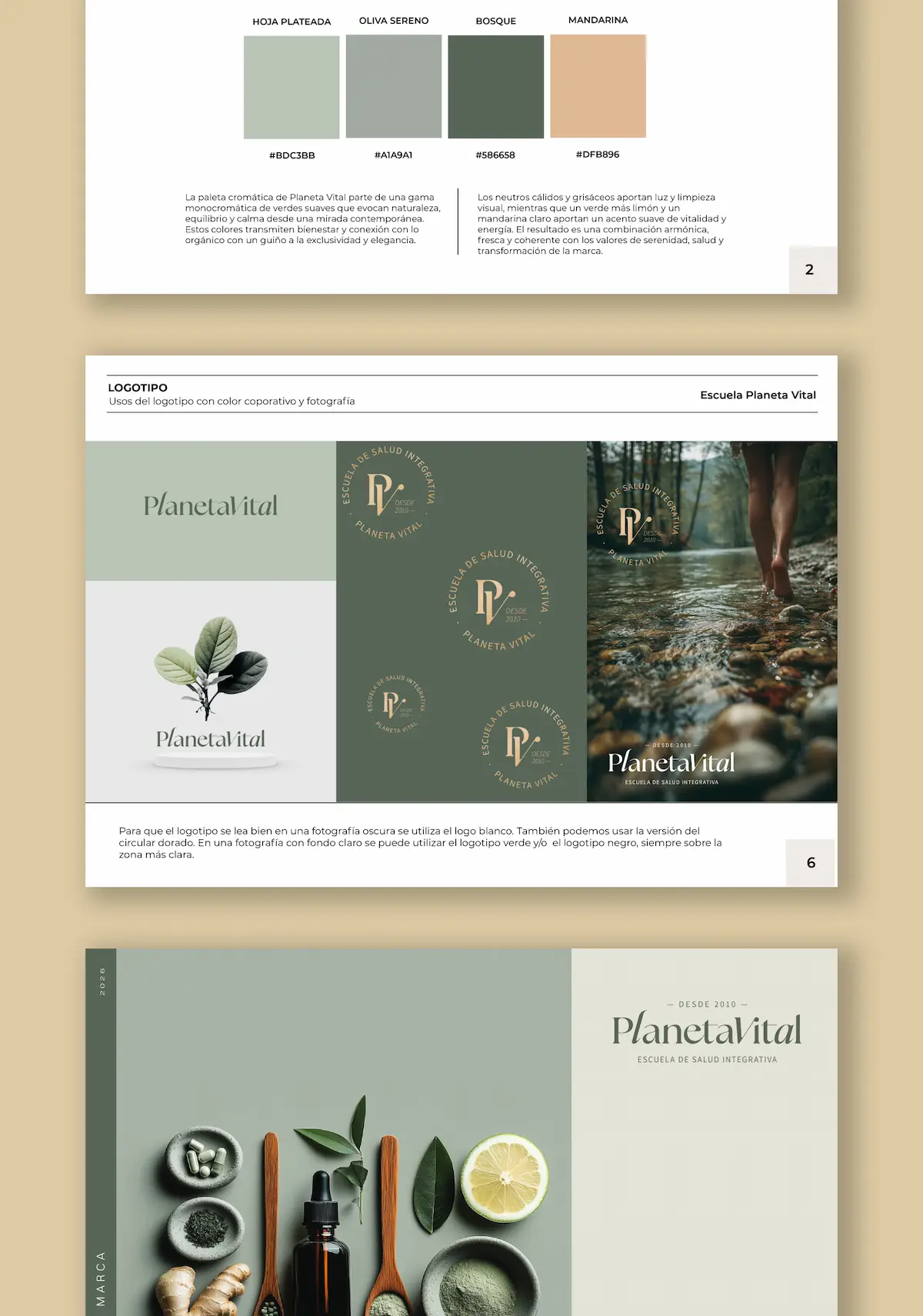 Materiales visuales de marca