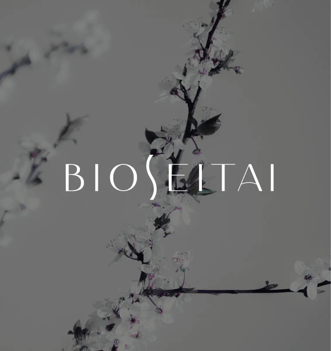 Proyecto BioSeitai